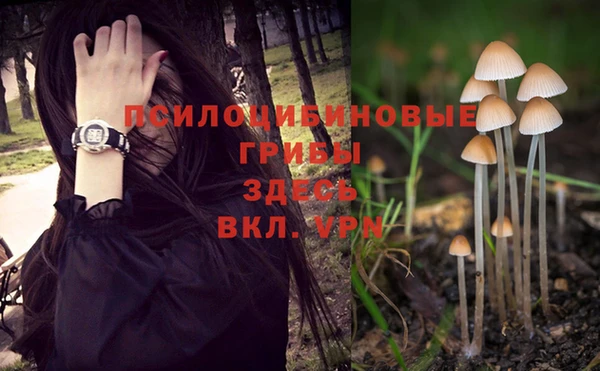 mix Алексеевка