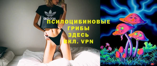 прущие крисы Алзамай