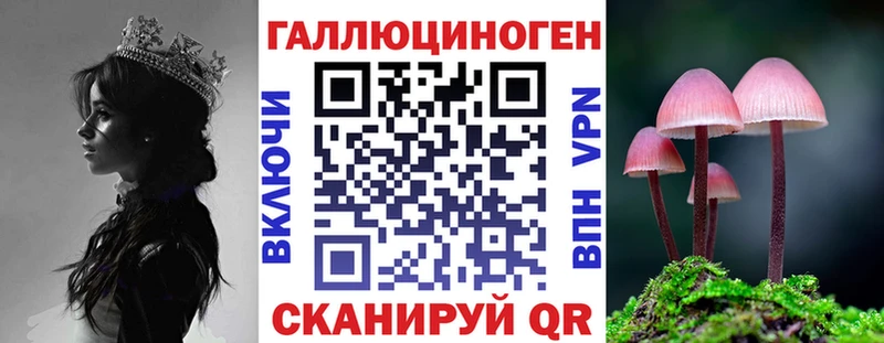 Псилоцибиновые грибы MAGIC MUSHROOMS  где купить   Чайковский 