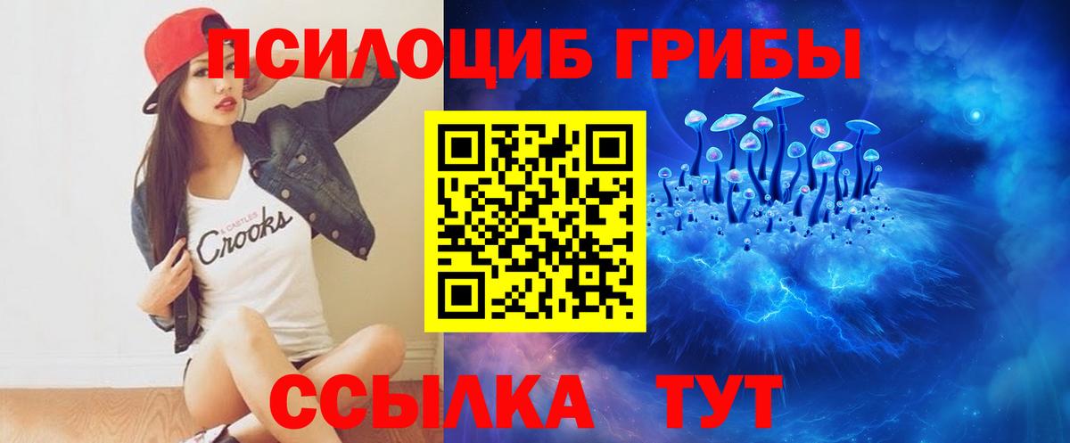 Галлюциногенные грибы Psilocybe  Псилоцибиновые грибы Psilocybe  Вход с VPN  Чайковский 